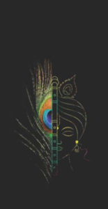 Sps-369 2 Layer 6D Mobile Phone Skin
