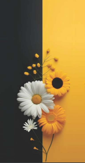 Sps-379 2 Layer 6D Mobile Phone Skin